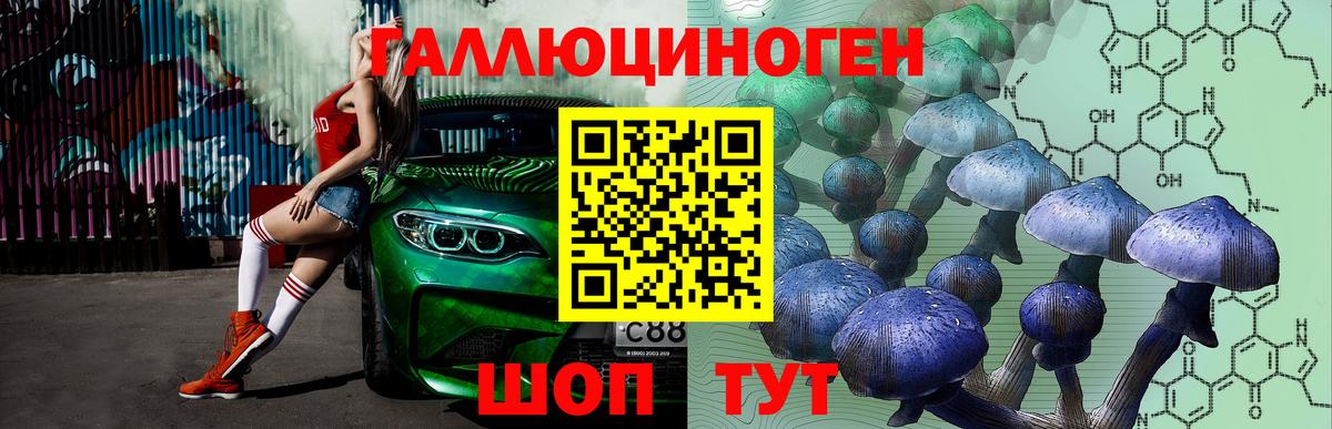 Галлюциногенные грибы MAGIC MUSHROOMS  Псилоцибиновые грибы Psilocybe  Бийск  Вход с VPN 